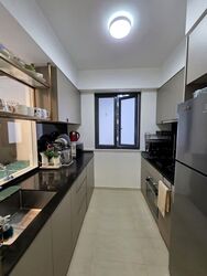 The Florence Residences (D19), Apartment #551142061